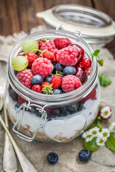 Muesli saboroso com iogurte e frutas silvestres — Fotografia de Stock