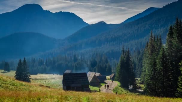 Skogsstig mellan stugor i dalen Chocholowska, Tatrabergen, Polen — Stockvideo
