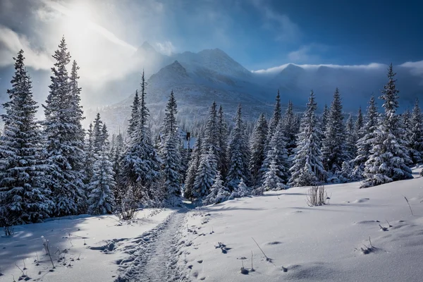Disfrute de su viaje de invierno en las montañas Tatras, Polonia — Foto de Stock