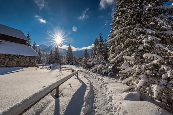 Sentier hivernal jusqu'à la cabane de montagne à l'aube, montagnes Tatra, Pologne — Photo