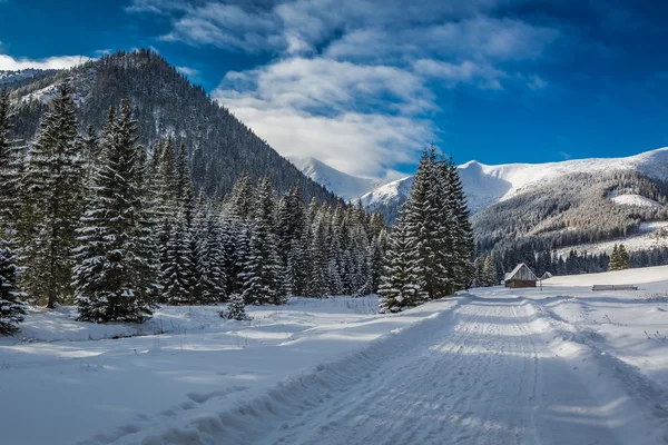 Sendero de invierno que conduce al valle de Chocholowska, montañas de Tatra, Polonia — Foto de Stock