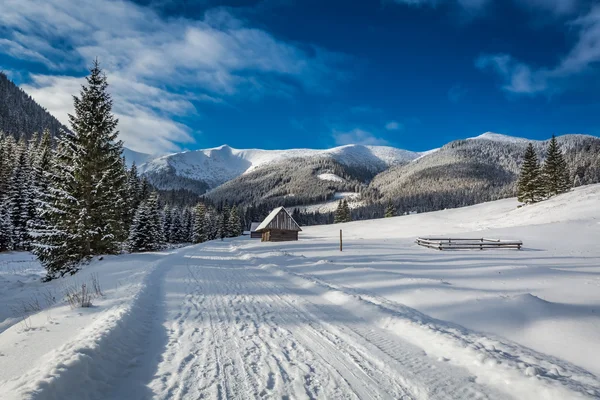 Valle Chocholowska al amanecer en invierno, Montañas Tatra, Polonia — Foto de Stock