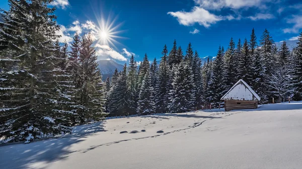 Small wooden cabin in winter in the mountains at sunrise, Tatras, Poland — Stock Photo, Image