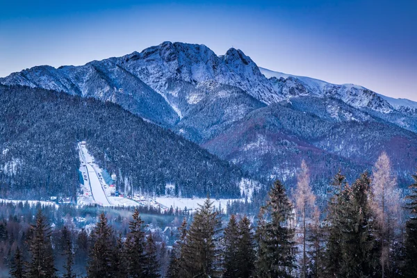 Zobacz skocznia narciarska Zima w Zakopanem, Tatry, Polska — Zdjęcie stockowe