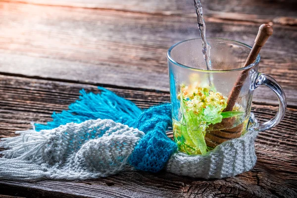 Brewing hot tea with linden and honey — Stock Photo, Image