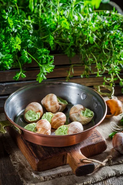 Deliciosos caracoles antes de cocinar —  Fotos de Stock