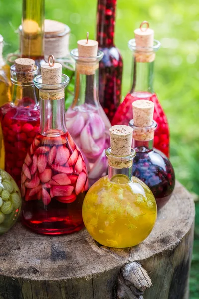 Liquore fresco con alcol e frutta — Foto Stock