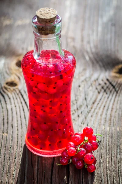 Liqueur maison à base d'alcool et de groseilles — Photo