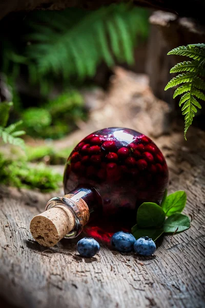 Homemade liqueur with alcohol and blueberries — Stock Photo, Image