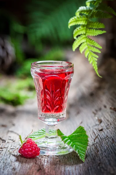 Alkohol és gyümölcsök készült ízletes málna likőr — Stock Fotó