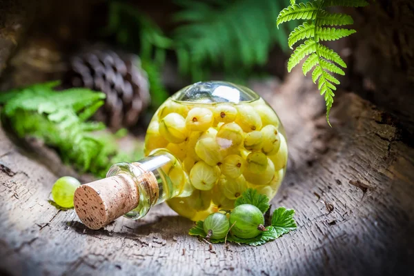 Liquore fatto in casa a base di alcol e uva spina — Foto Stock