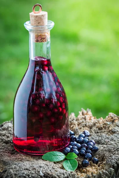 Fresh liqueur in a bottle with blueberries and alcohol — Stock Photo, Image