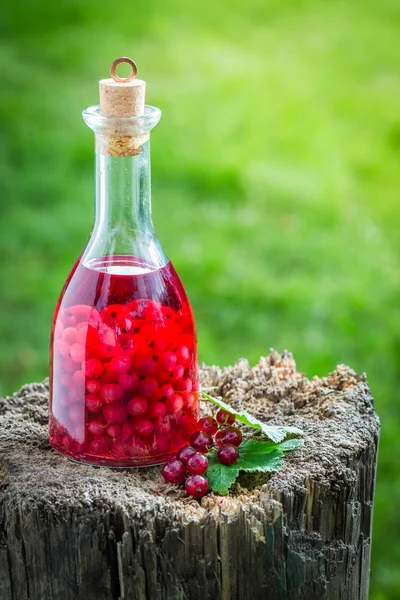 Liqueur sucrée à base d'alcool et de groseilles — Photo