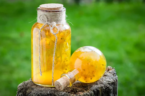 A méz, a hárs és az alkohol finom és édes likőr — Stock Fotó