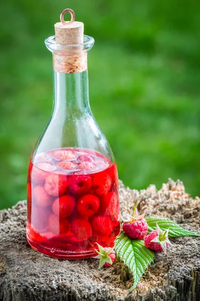 Friska hallon likör gjord av alkohol och frukt — Stockfoto