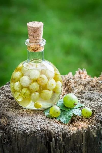 Liquore dolce a base di alcol e uva spina — Foto Stock