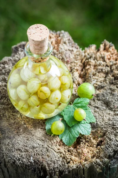 Liquore saporito a base di uva spina e alcol — Foto Stock