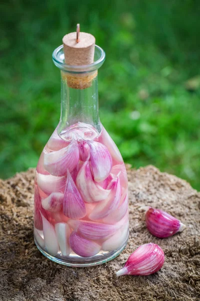 Helathy and homemade liqueur with alcohol and garlic — Stock Image Helathy and homemade liqueur with alcohol and garlic Royalty Free Stock Images