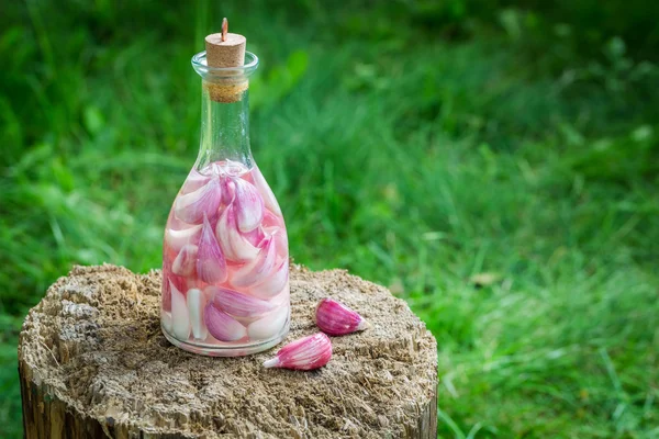 Natural and homemade liqueur with garlic and alcohol — Stock Image Natural and homemade liqueur with garlic and alcohol Royalty Free Stock Photos