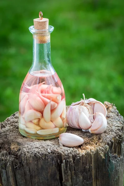 Natural and homemade liqueur with alcohol and garlic — Stock Image Natural and homemade liqueur with alcohol and garlic Stock Picture