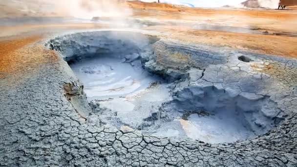 Namafjall hot and steamy landscape in Iceland at summer — Stock Video