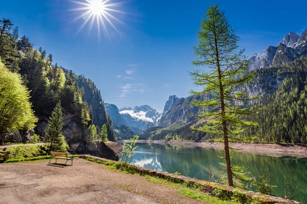 Piękny poranek nad jeziorem górskim w Gosau, Alpy, Austria — Zdjęcie stockowe