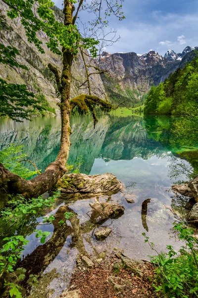 Mooie groene bergmeer in de Alpen, Duitsland — Stockfoto