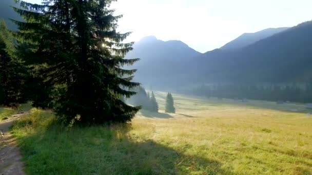 Amanecer en el valle Chocholowska, Montañas Tatra, Polonia — Vídeos de Stock