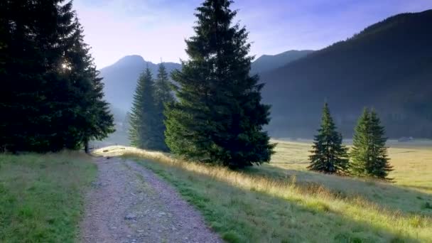 Wschód Słońca w dolinie Chochołowskiej, Tatry, Polska — Wideo stockowe