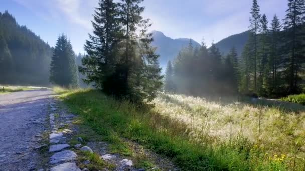 Valle Chocholowska al amanecer, Montañas Tatra, Polonia — Vídeo de stock