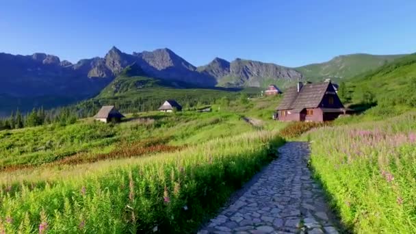 Petites cabanes dans les montagnes Tatra en Pologne — Video