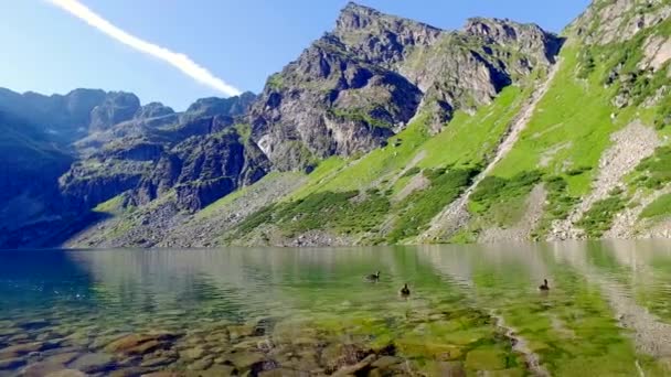Blick von unten auf czarny staw gasienicowy im Sommer, Tatra-Gebirge, Polen — Stockvideo