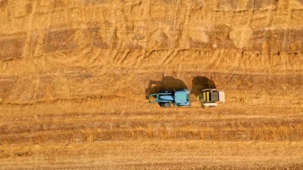 Saman demetleri ve traktörüyle Polonya 'nın en iyi manzarası — Stok video