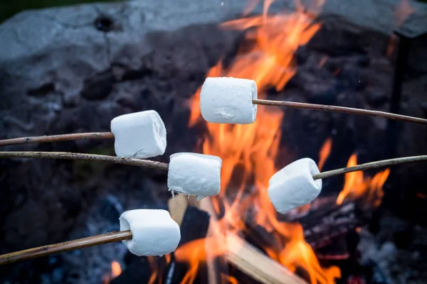 Großaufnahme Von Süßen Marshmallows Stock Über Dem Lagerfeuer Sommer — Stockfoto