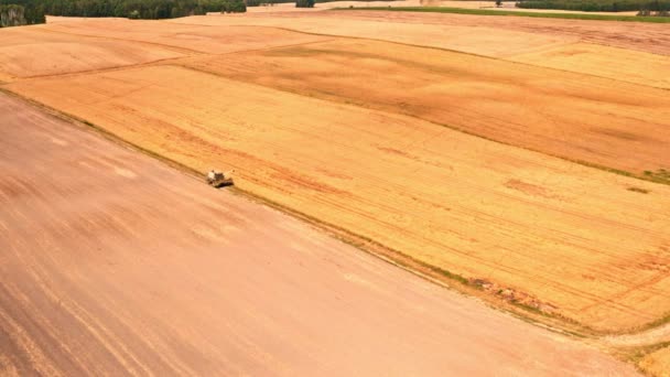 Mähdrescher Feld, Luftaufnahme von Polen — Stockvideo