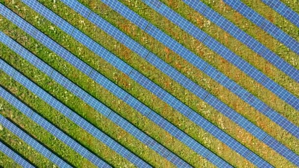 Aerial view of solar panels on field in summer — Stock Video