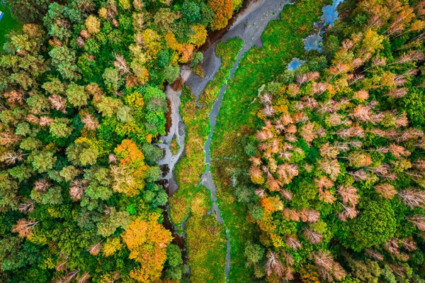 Felülről Lefelé Kilátás Kis Folyóra Őszi Erdőkre Lengyelország — Stock Fotó