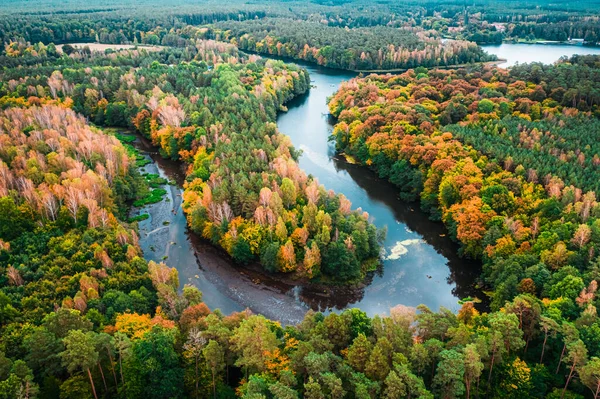 Wspaniały Widok Kolorowy Las Rzekę Jesienią Polska — Zdjęcie stockowe