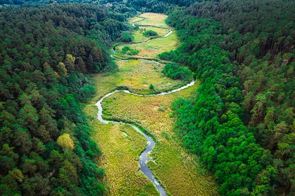 Kleiner Gewundener Fluss Herbst Luftaufnahme Polen — Stockfoto