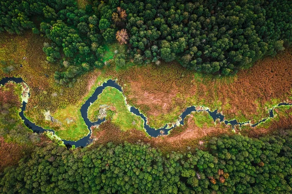 Vista Superior Del Río Pantanos Otoño Vista Del Dron Polonia —  Fotos de Stock
