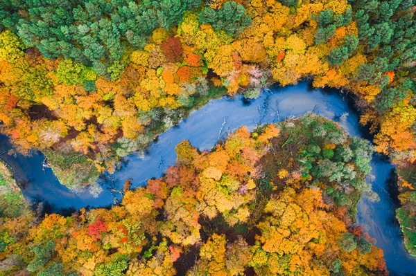 Fantastisk Utsikt Över Färgglada Höstskog Och Blå Flod Polen Europa — Stockfoto