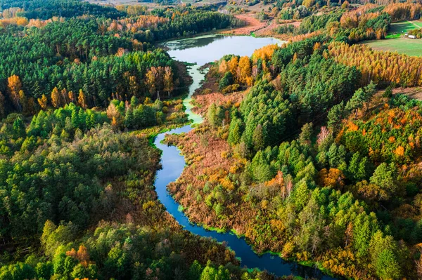 Atemberaubende Luftaufnahme Von Kleinen Fluss Und Bunten Wald Polen — Stockfoto