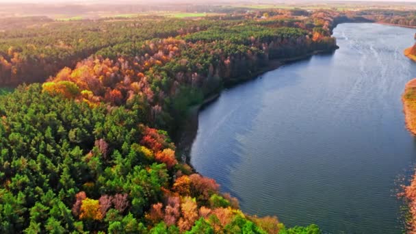 Vista deslumbrante da floresta de outono e grande lago, Polônia — Vídeo de Stock