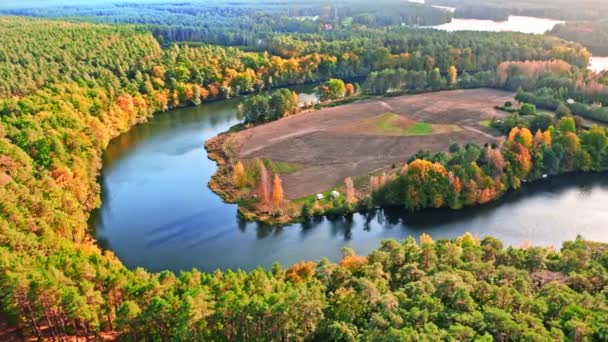 Oszałamiająca rzeka i jesienny las o zachodzie słońca, widok z powietrza — Wideo stockowe