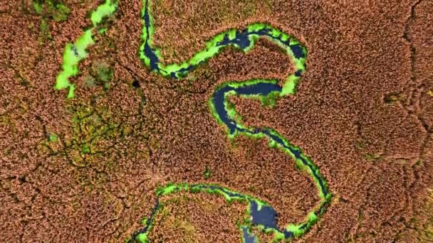 Blick von oben auf Fluss, Algen und braune Sümpfe — Stockvideo