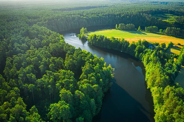Rzeka Lasy Wschodzie Słońca Widok Lotu Ptaka Polska — Zdjęcie stockowe