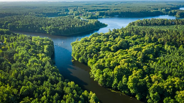 Latem Kręta Rzeka Między Zielonymi Lasami Polska Europa — Zdjęcie stockowe