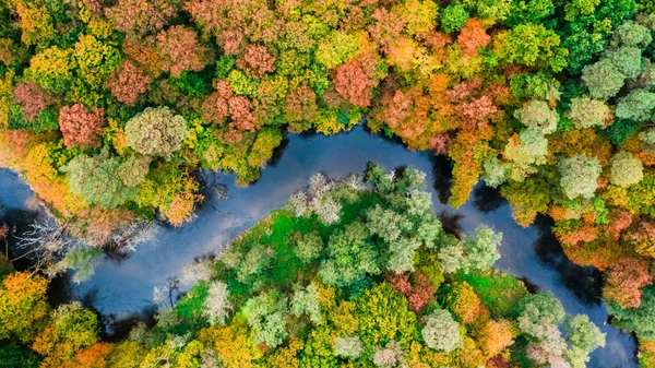 Widok Góry Rzekę Kolorowy Jesienny Las Polska — Zdjęcie stockowe