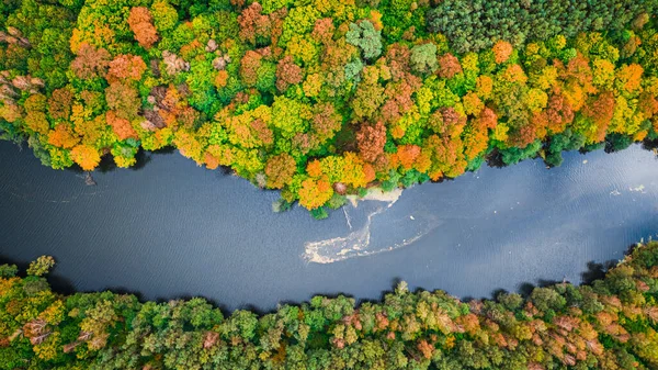 Vue Haut Vers Bas Grande Rivière Forêt Automne Colorée Pologne — Photo