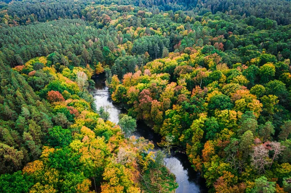 Blick Von Oben Auf Den Sich Windenden Herbstfluss Polen — Stockfoto